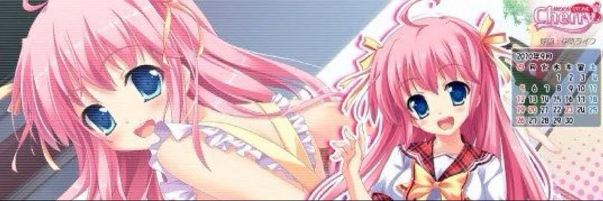 Asset